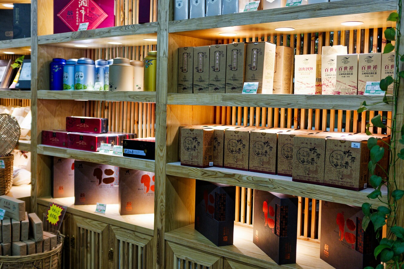 Artisan Teas & Matcha