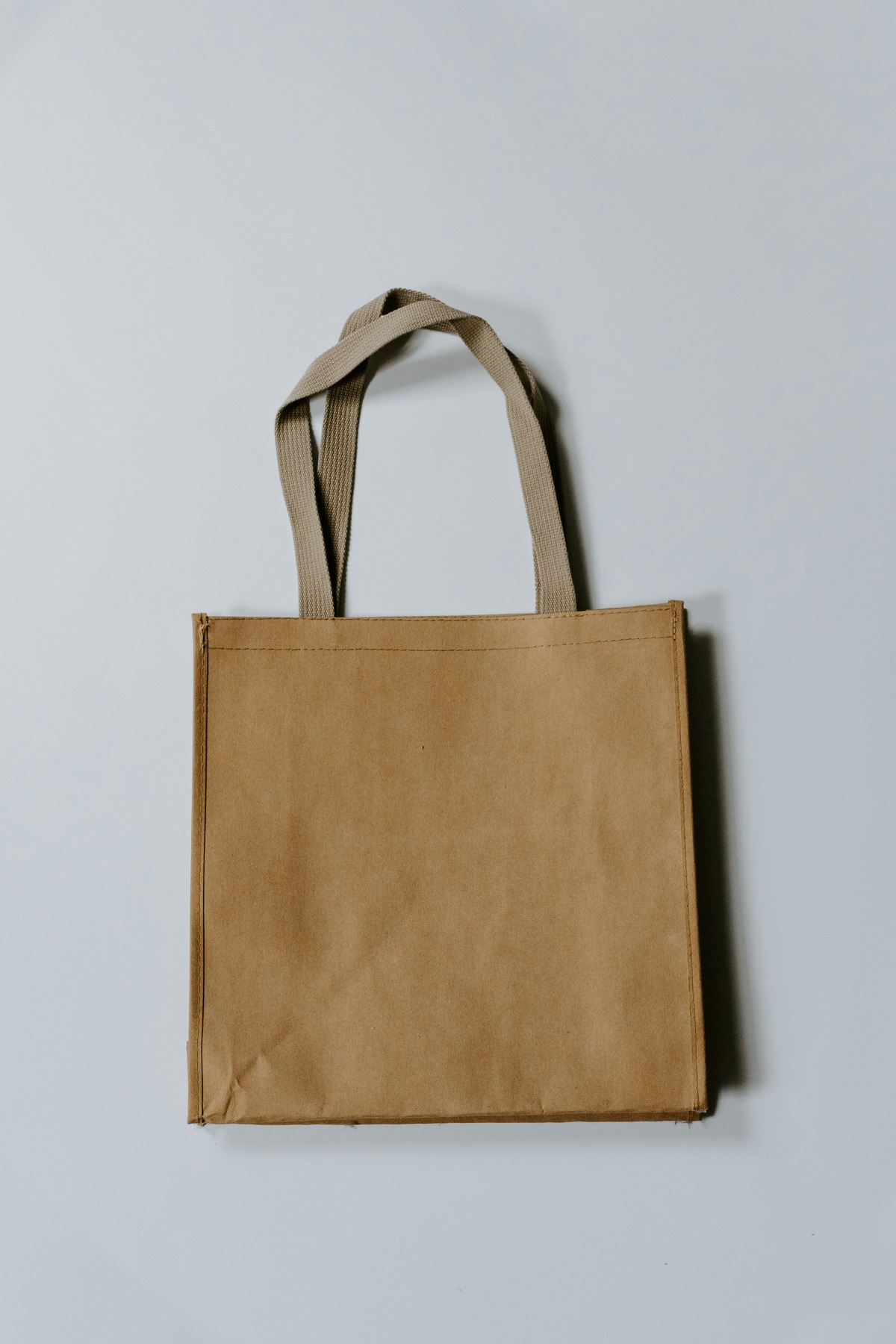 Logo Canvas Tote Bag